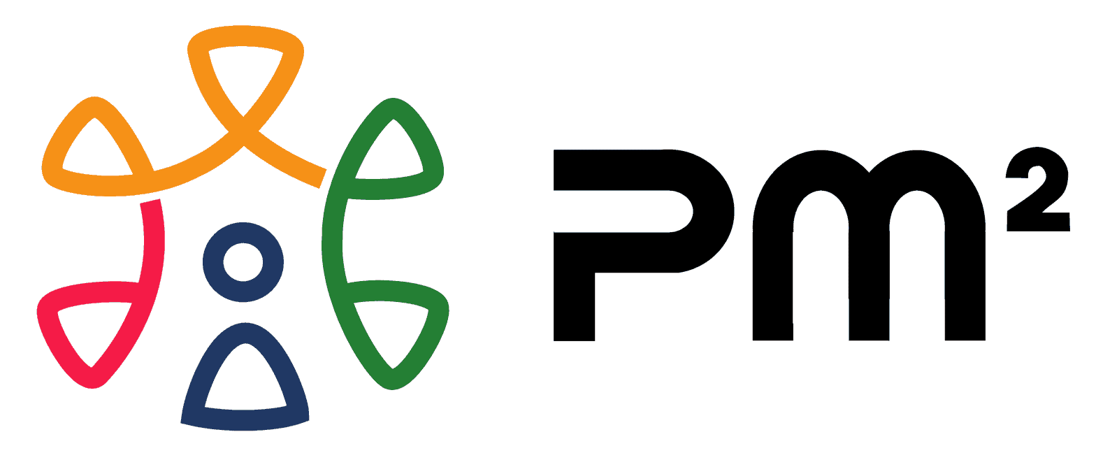 pm2 Solutions Partner